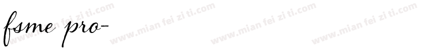 fsme pro字体转换